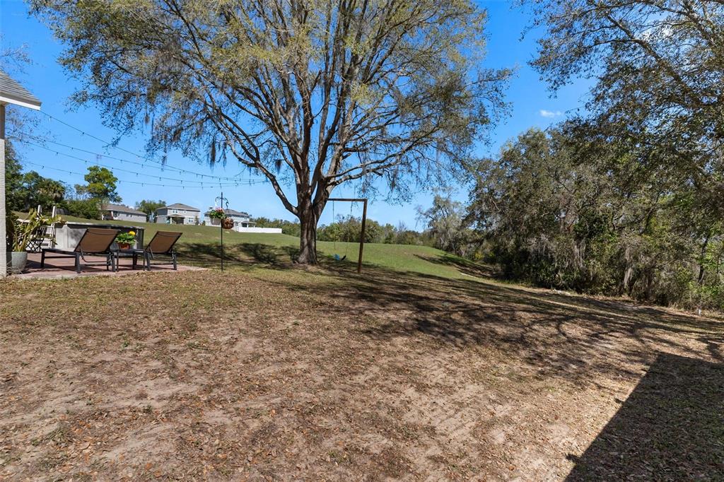 33142 Kaylee Way Leesburg, FL 34788 - Photo 6 of 45 a view of outdoor space with city view