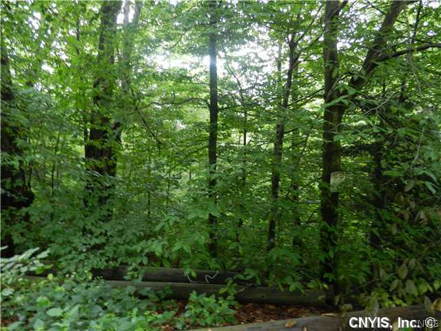 Lot 19 Briggs Road Remsen, NY 13438 - Photo 1 of 1 Land