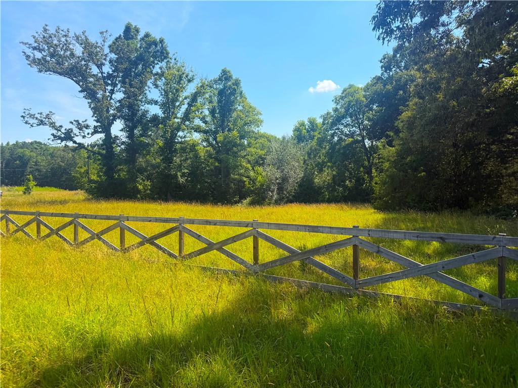 9816 Neely Ferry Road Waterloo, SC 29384 - Photo 5 of 7