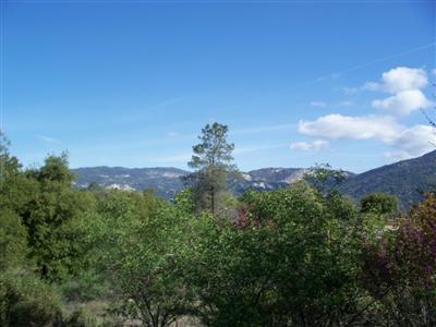 28528 Hitching Post Road Tollhouse, CA 93667 - Photo 3 of 6 Gallery Image 3