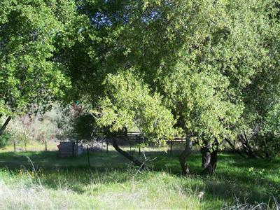 28528 Hitching Post Road Tollhouse, CA 93667 - Photo 4 of 6 Gallery Image 4