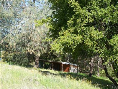 28528 Hitching Post Road Tollhouse, CA 93667 - Photo 5 of 6 Gallery Image 5