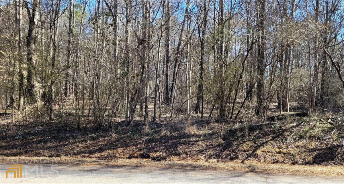0 Dixon Bridge Road Maysville, GA 30558 - Photo 1 of 1 Gallery Image 1