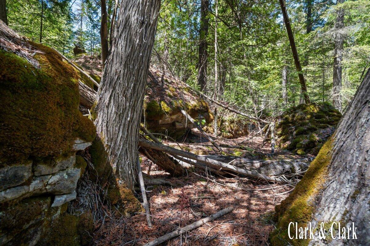 35965 South Humms Road Drummond Island, MI 49726 - Photo 60 of 73 129-WOODS 02A