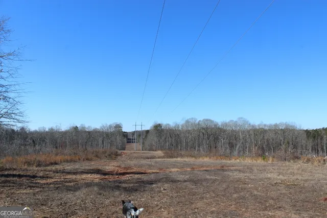 a view of an outdoor space