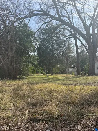 a view of a yard with a tree