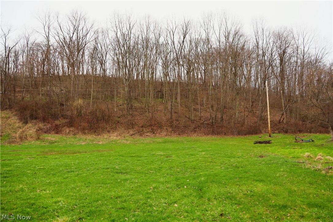 6030 Atkinson Creek Road Southeast Tippecanoe, OH 44699 - Photo 8 of 27