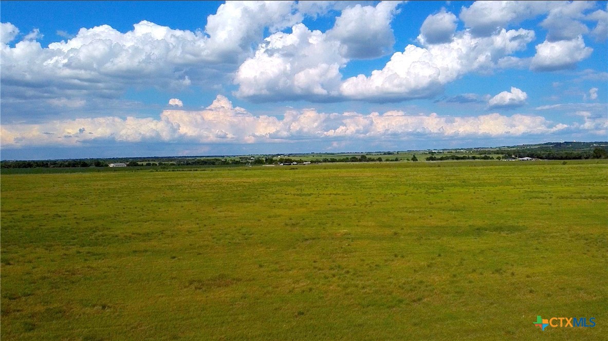 13310 Reeds Lake Loop Temple, TX 76501 - Photo 3 of 6