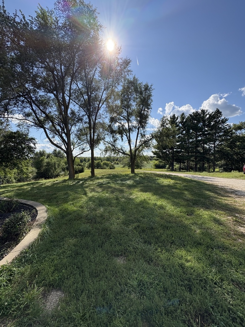 7822 North Pillow Hill Road Spring Grove, IL 60081 - Photo 11 of 34 a view of a park