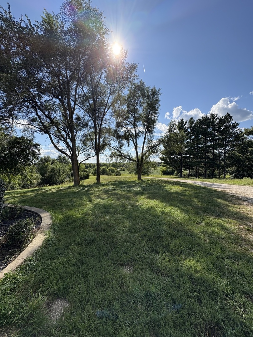 7822 North Pillow Hill Road Spring Grove, IL 60081 - Photo 12 of 34 a view of a park