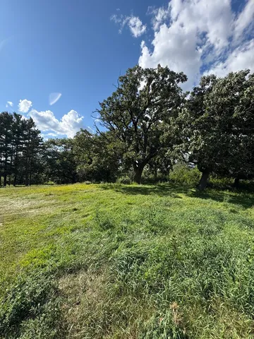 a view of a big yard with lots of green space