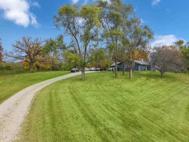 a view of a park with large trees