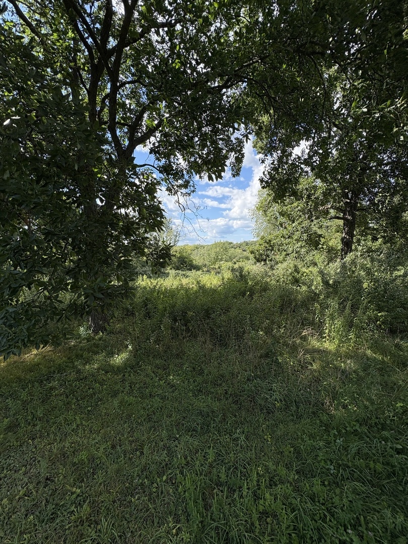 7822 North Pillow Hill Road Spring Grove, IL 60081 - Photo 10 of 34