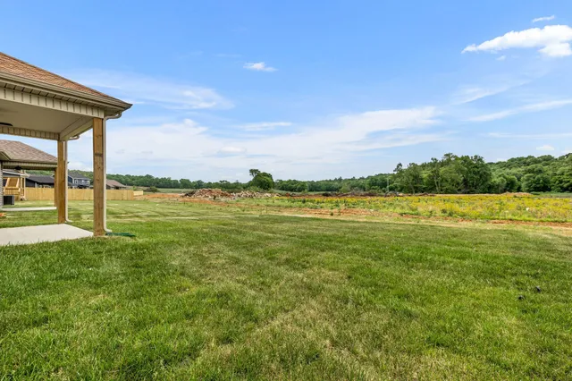 a view of an ocean from a yard