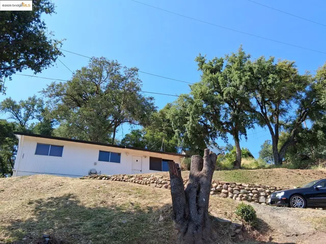 a view of backyard with wooden fence and large trees