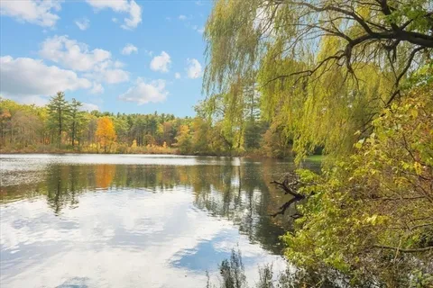 a view of a lake in between two large trees