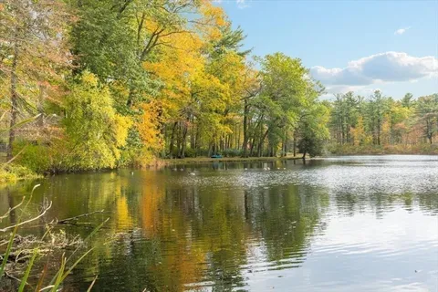 a view of a swimming pool with a lawn chairs and plants