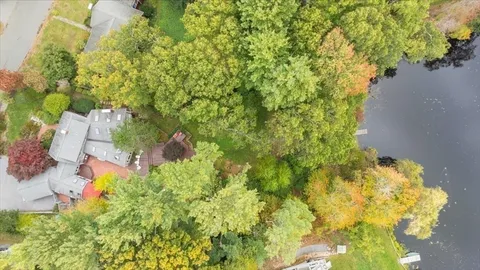 a view of a backyard with a large tree