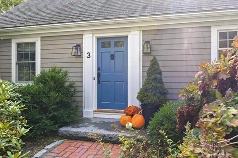 a view of a house with a garden
