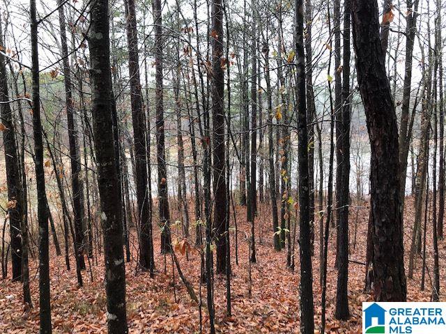 0 Lakeside Lane, Unit 31 Alpine, AL 35014 - Photo 35 of 42