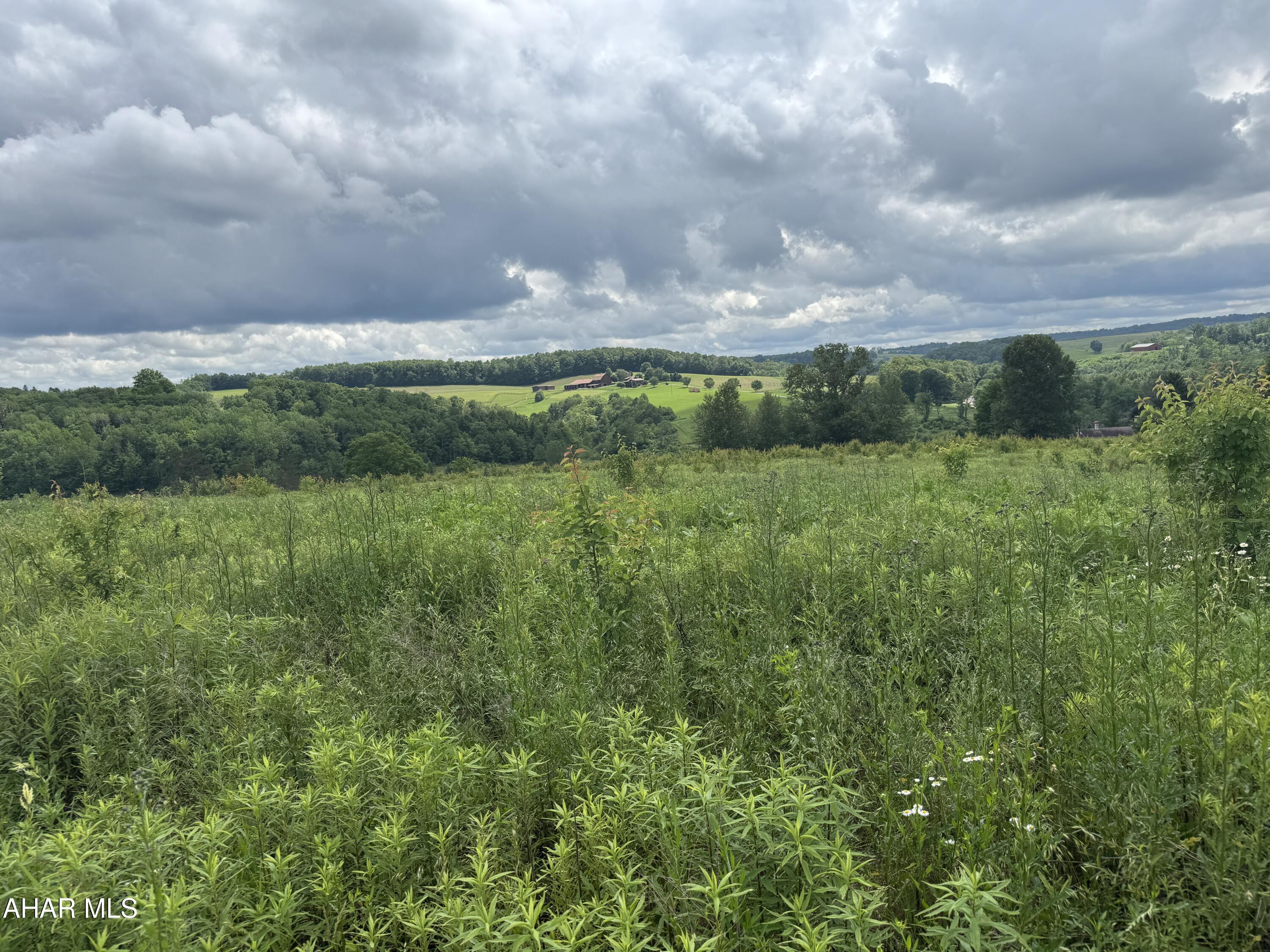 0 Beck Road Loretto, PA 15940 - Photo 2 of 5
