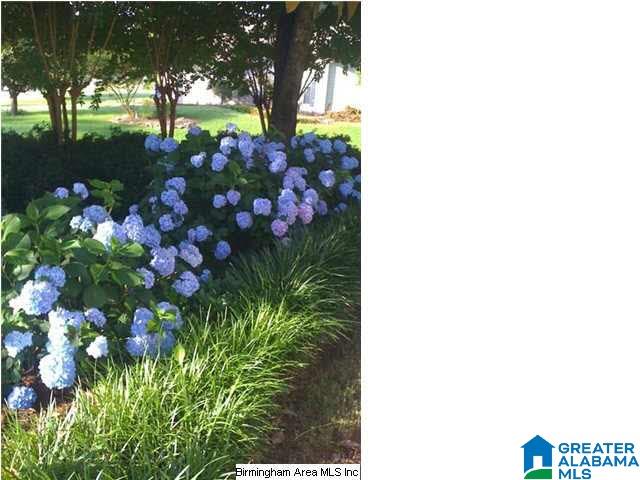 200 Leaf Lane Alabaster, AL 35007 - Photo 2 of 32