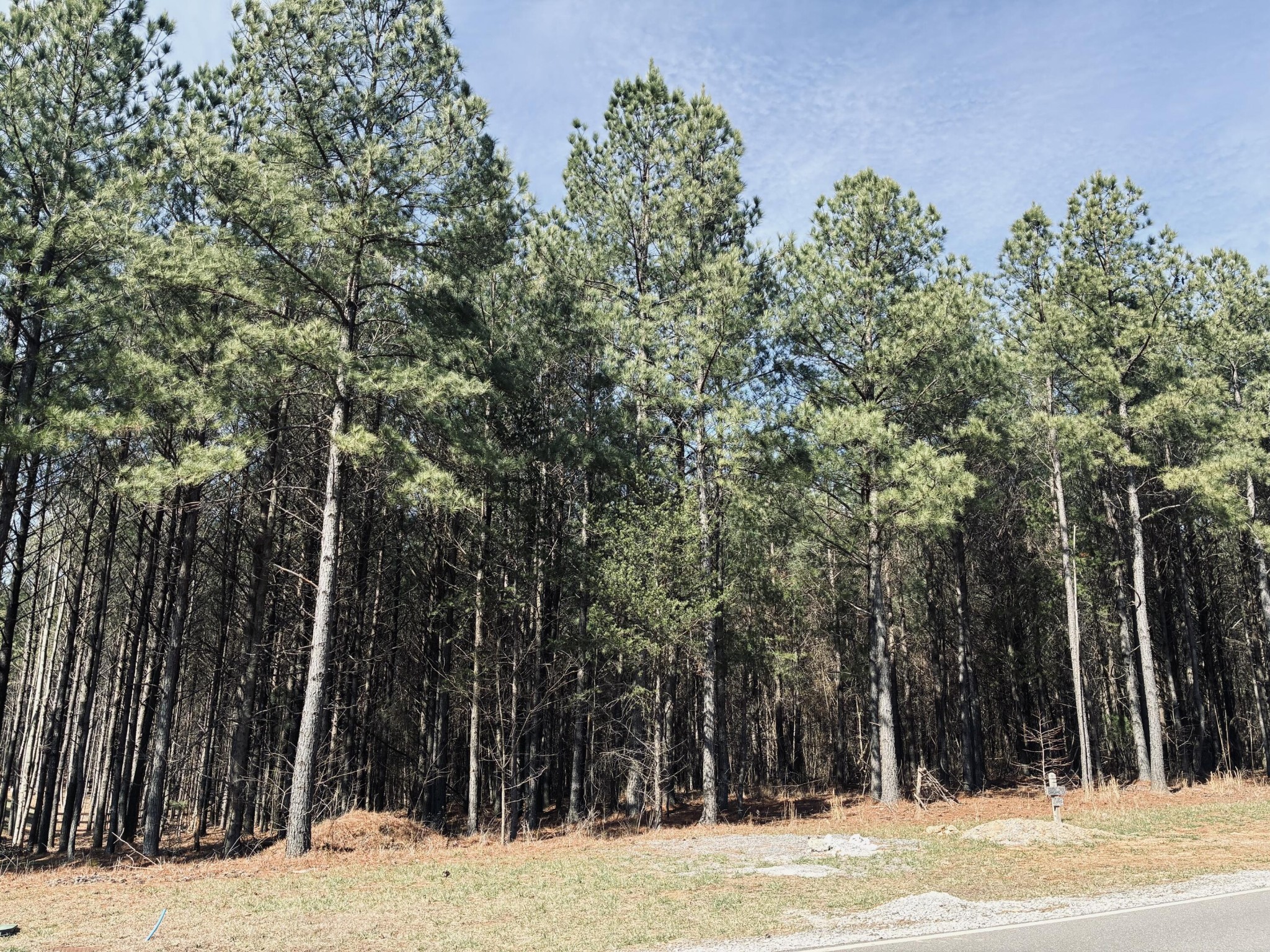 3290 Crockett Pointe Jasper, TN 37347 - Photo 2 of 40 a view of a backyard of the house