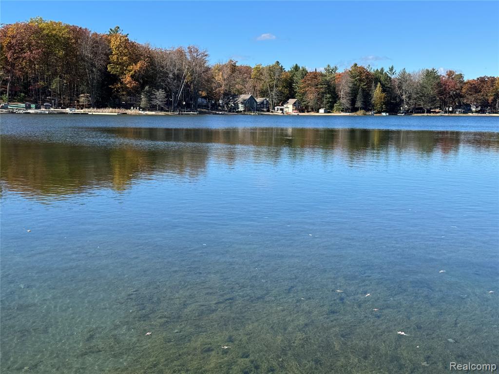 7099 Jose Lake Road South Branch, MI 48761 - Photo 11 of 81