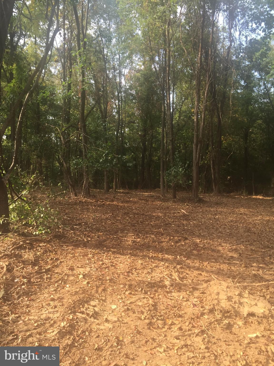 3544 Sigler Road Jefferson, MD 21755 - Photo 2 of 3 a view of outdoor space with trees
