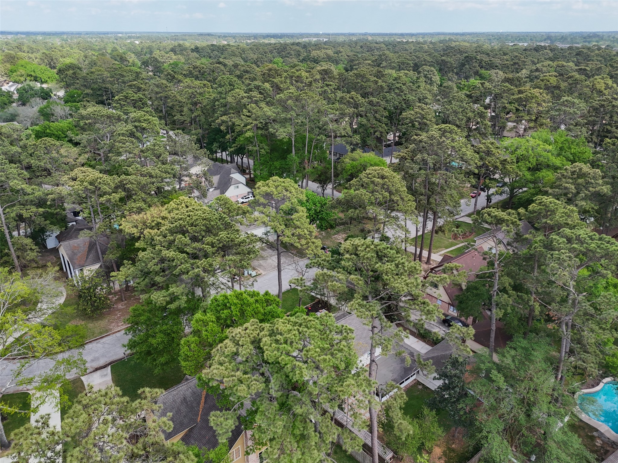 17623 Forest Mist Drive Spring, TX 77379 - Photo 38 of 40