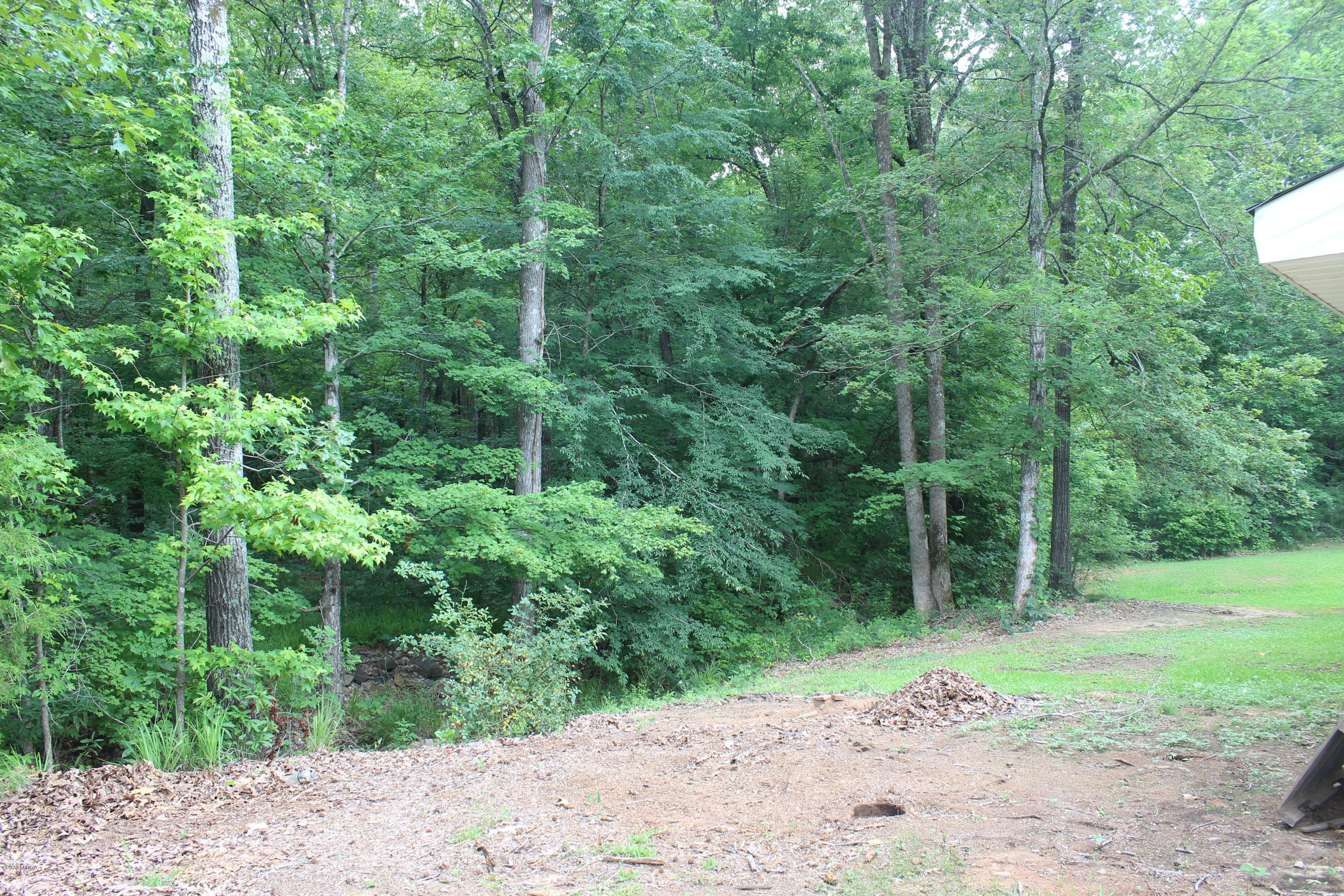 75 Jenkins Road Forsyth, GA 31029 - Photo 14 of 15 a view of a yard with a trees