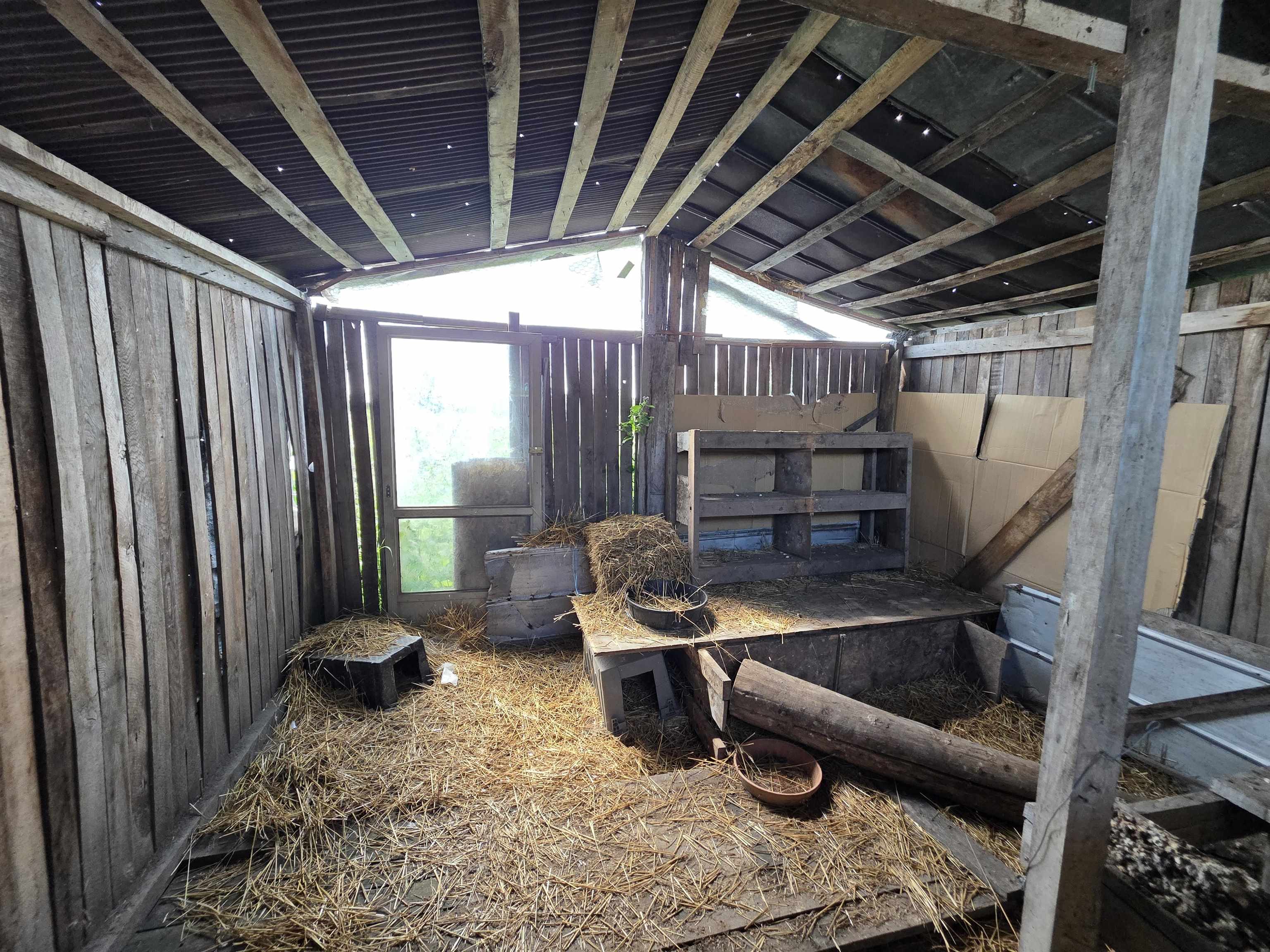 Gallery Image 7