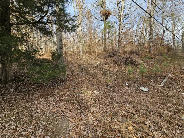 $15,000 | 7 Smyrna Road, Evensville, TN 37332