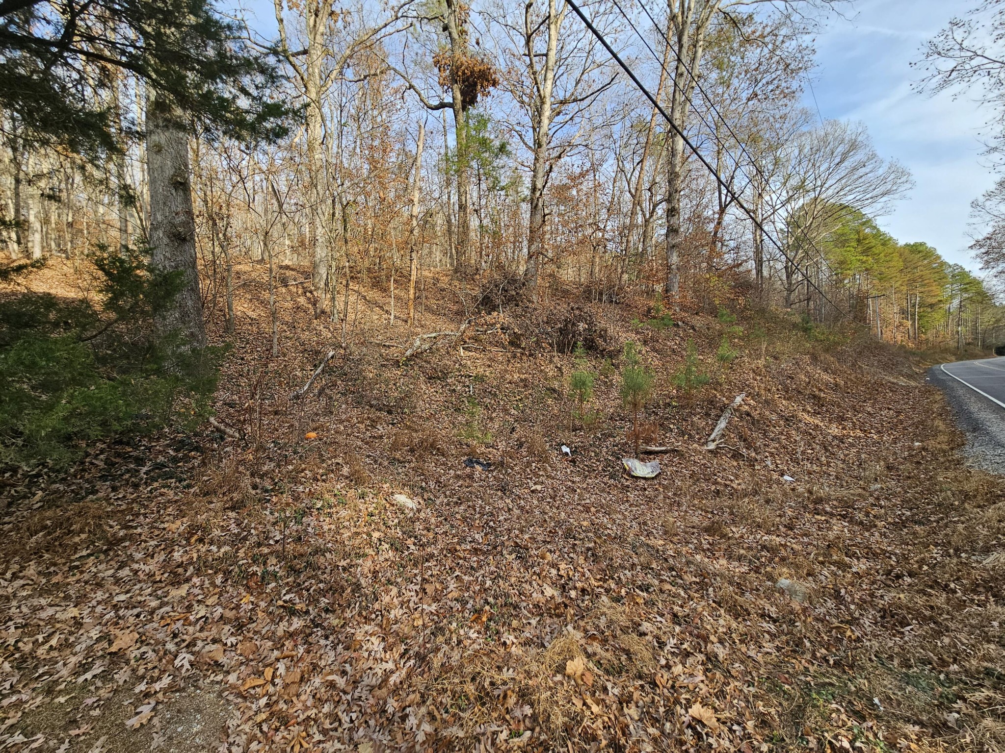 7 Smyrna Road Evensville, TN 37332 - Photo 2 of 11