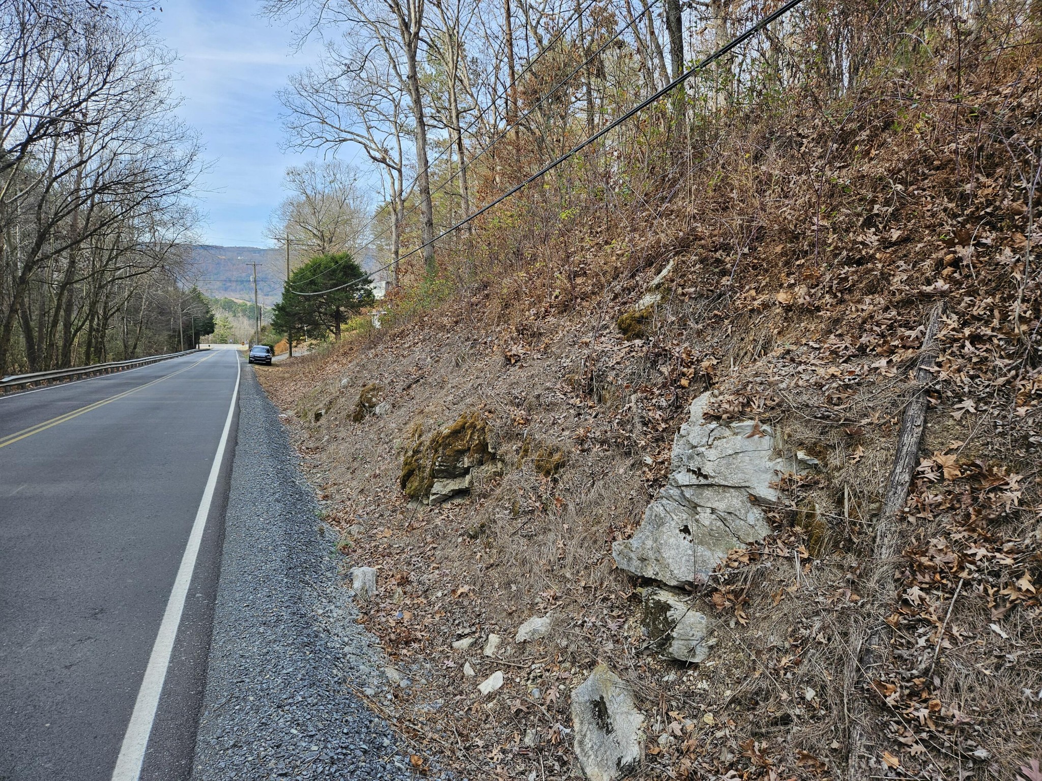 7 Smyrna Road Evensville, TN 37332 - Photo 3 of 11 a view of a dry yard with trees