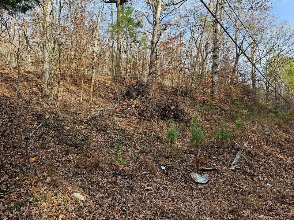 7 Smyrna Road Evensville, TN 37332 - Photo 4 of 11 a view of a dry yard with trees