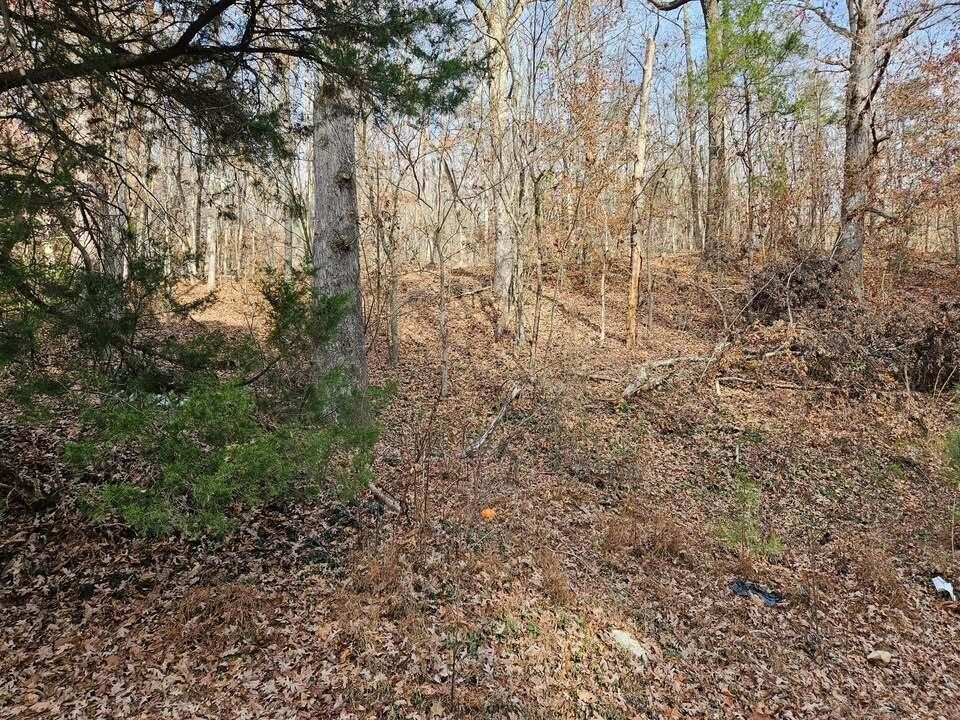 7 Smyrna Road Evensville, TN 37332 - Photo 7 of 11 a view of a yard with a tree