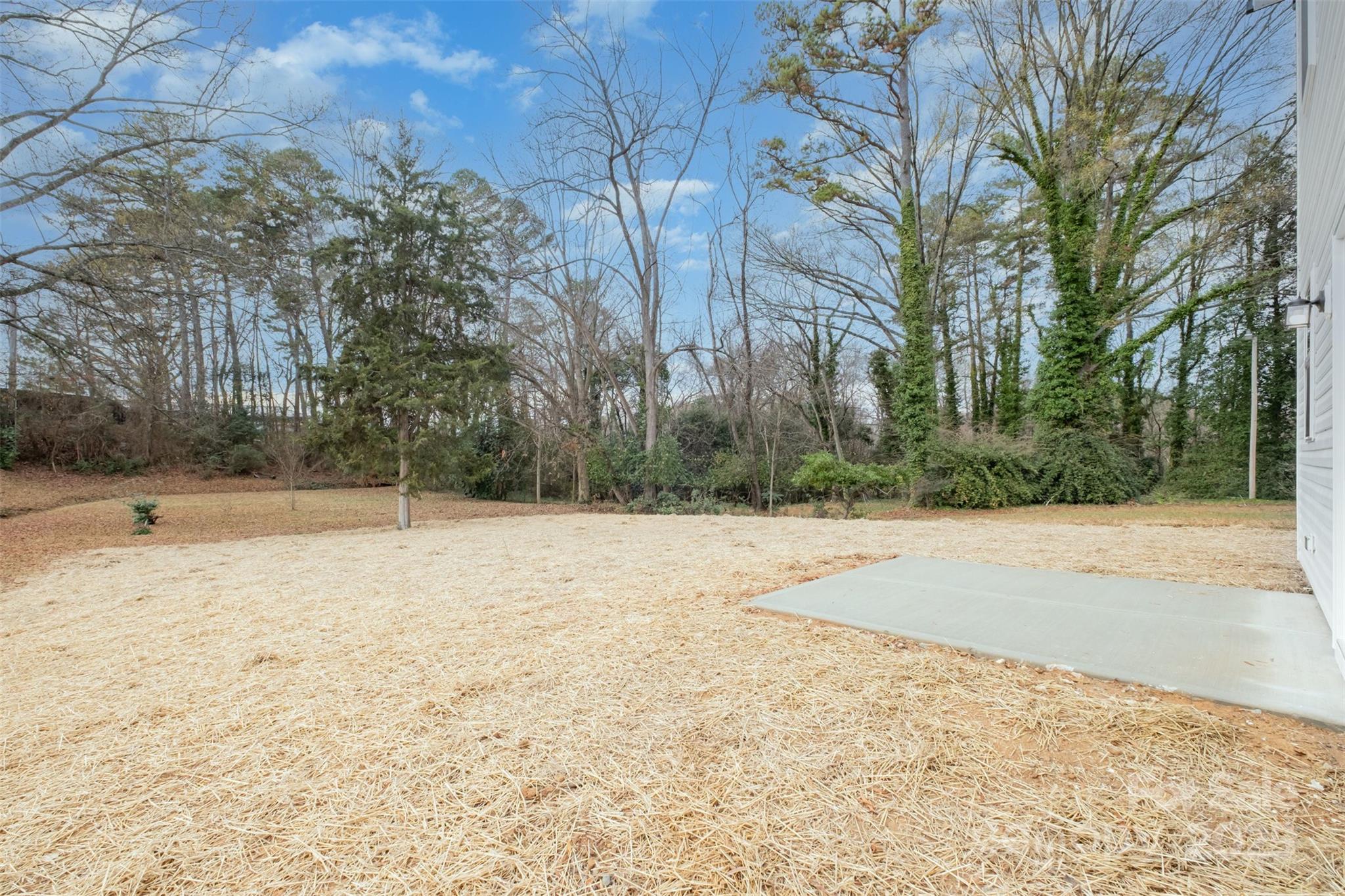 19901 Burton Lane Cornelius, NC 28031 - Photo 23 of 28 a view of backyard space