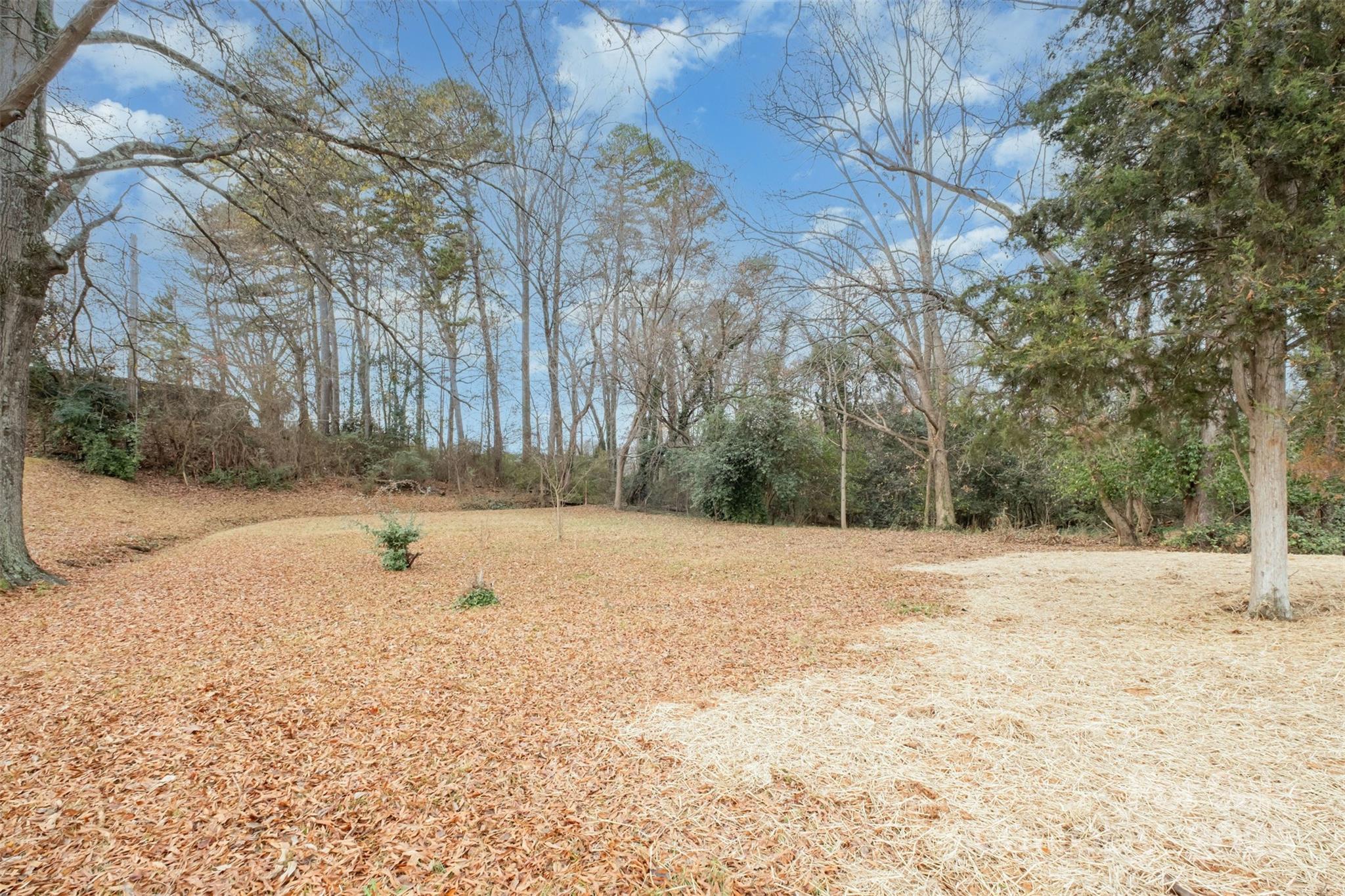 19901 Burton Lane Cornelius, NC 28031 - Photo 24 of 28