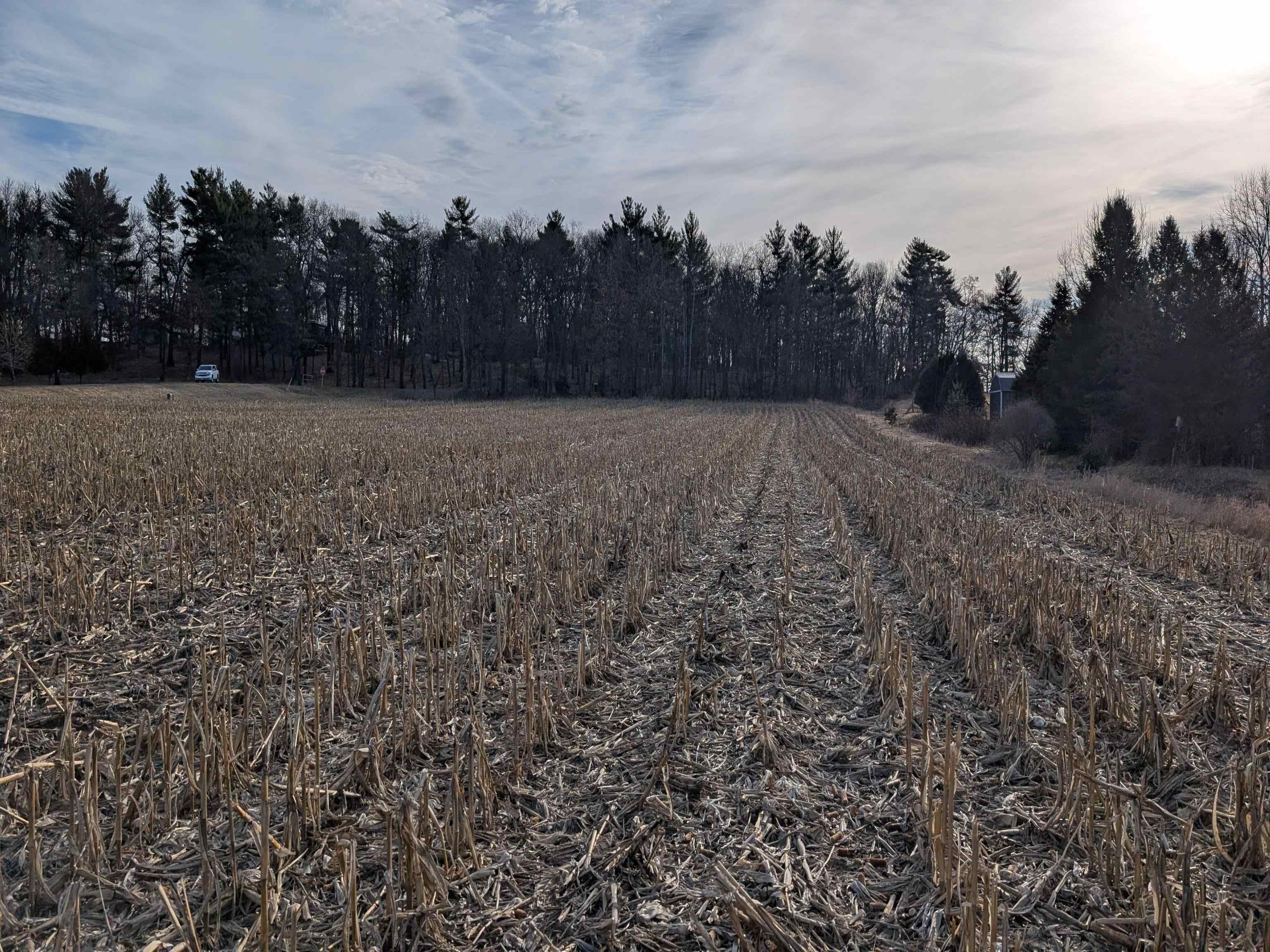 L21 Quail Meadow Lane Reedsburg, WI 53959 - Photo 7 of 17