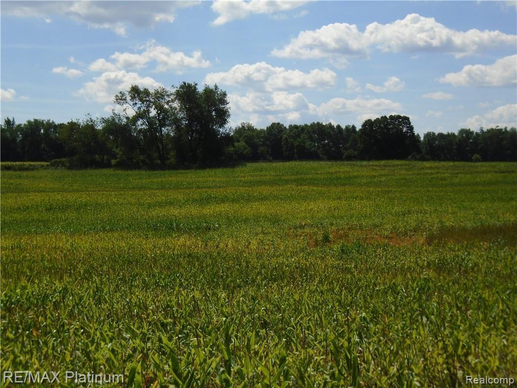 D 2 Germany Road Fenton, MI 48430 - Photo 13 of 27