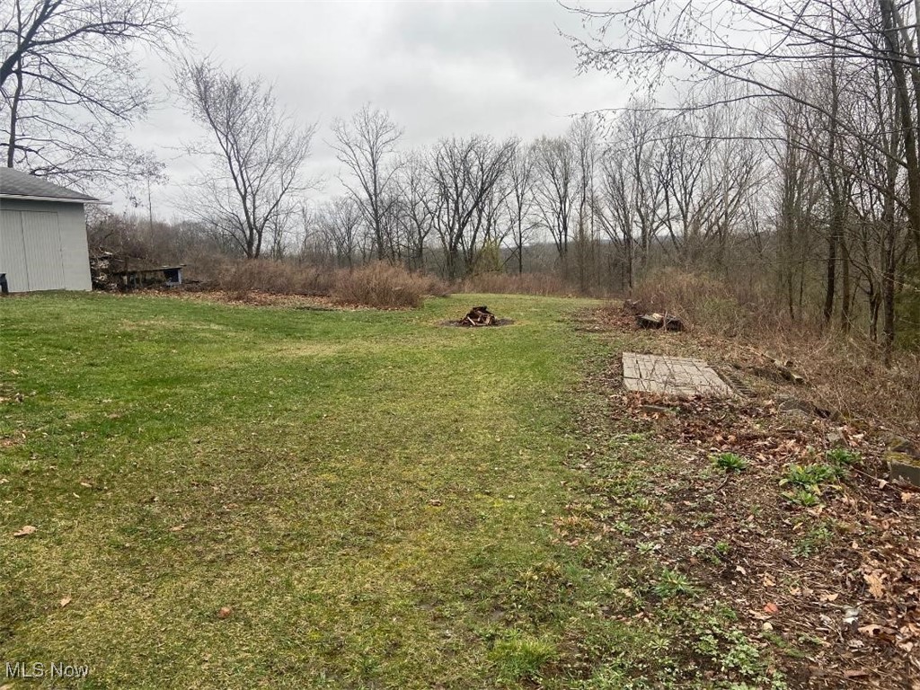 1553 Cates Road Akron, OH 44312 - Photo 35 of 37 Treed 1 acre behind house, to next street