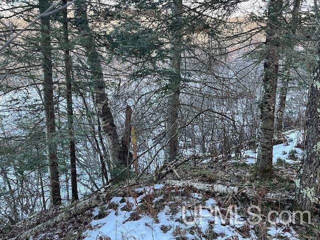 11812 East Howen Road Long Lake, WI 54542 - Photo 12 of 20