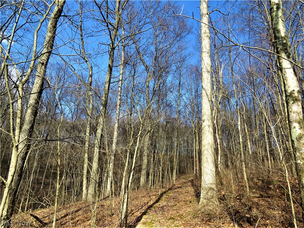 115 Poker Road Southeast Scio, OH 43988 - Photo 22 of 25 Gallery Image 22