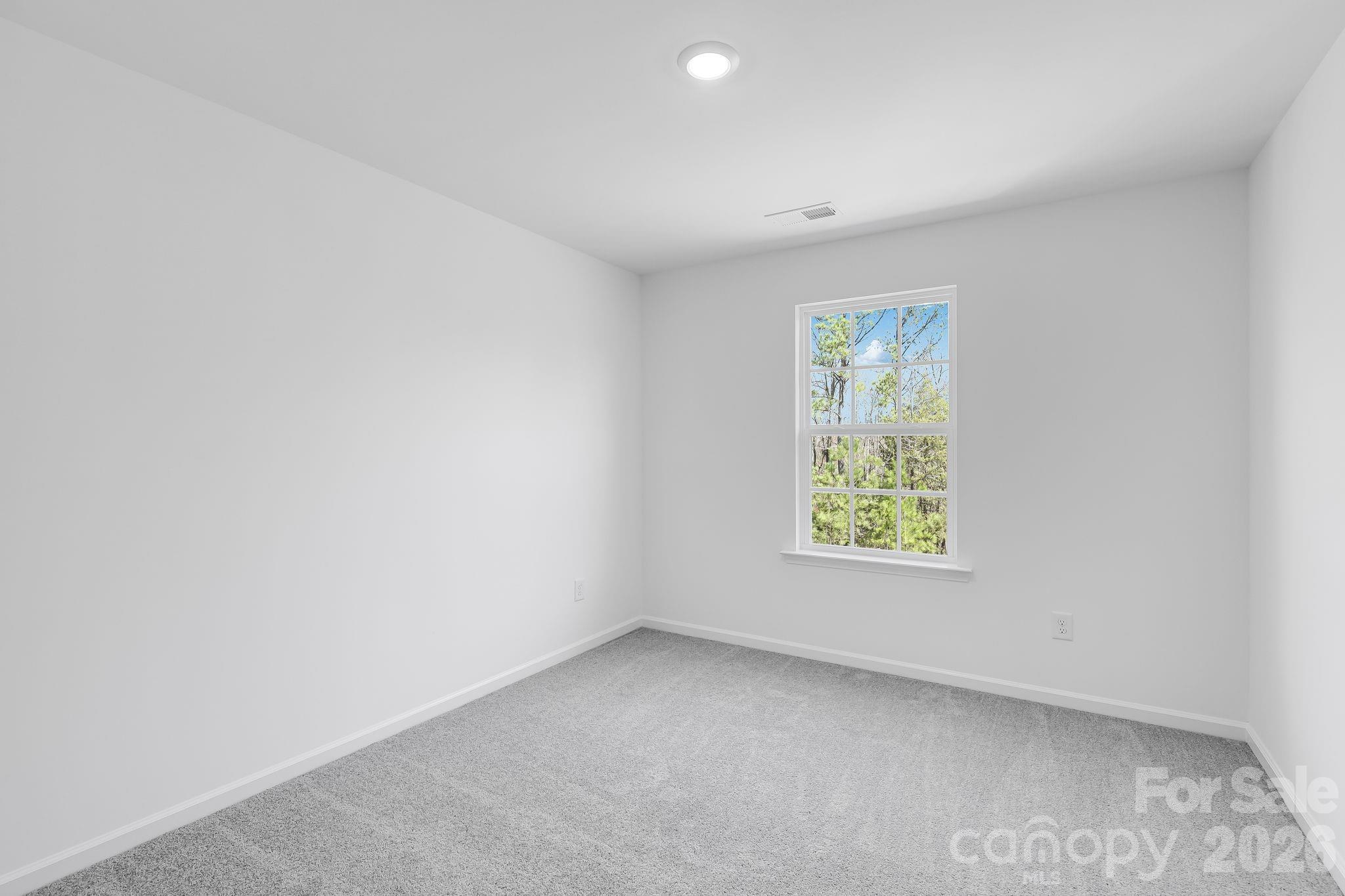 665 Sparano Loop York, SC 29745 - Photo 5 of 15