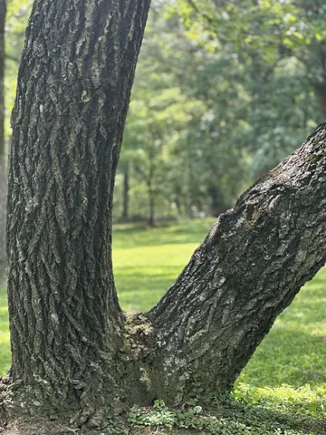 $349,900 | 1061 Cranfill Road, Dayton, TN 37321