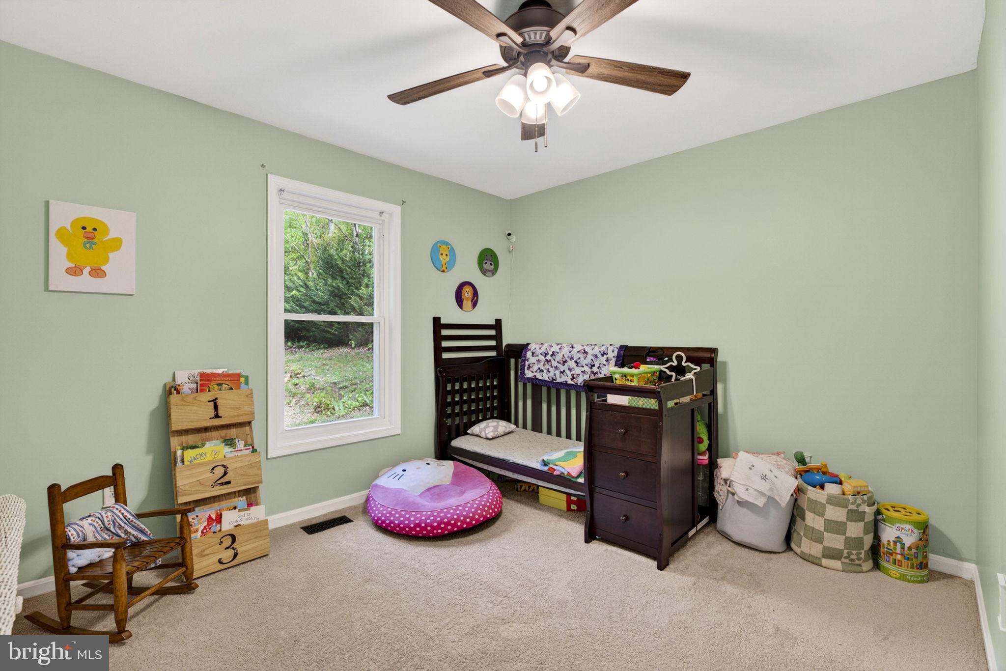 19106 Loggers Road Culpeper, VA 22701 - Photo 30 of 39