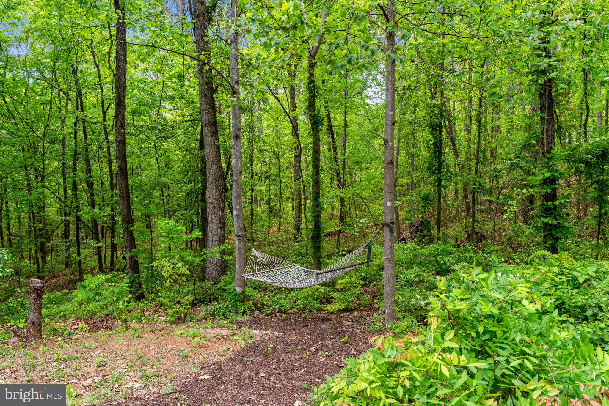 19106 Loggers Road Culpeper, VA 22701 - Photo 3 of 39