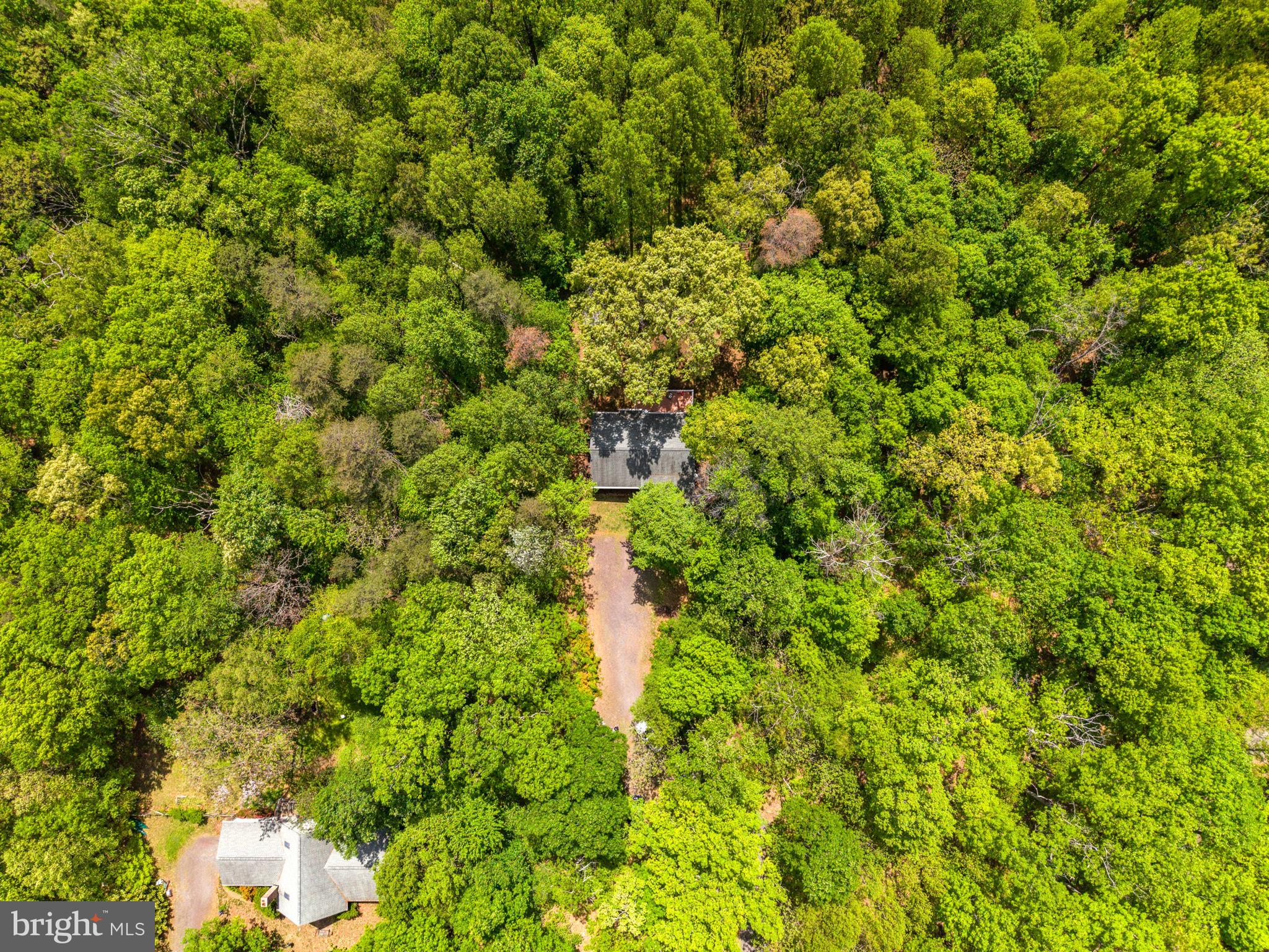 19106 Loggers Road Culpeper, VA 22701 - Photo 39 of 39