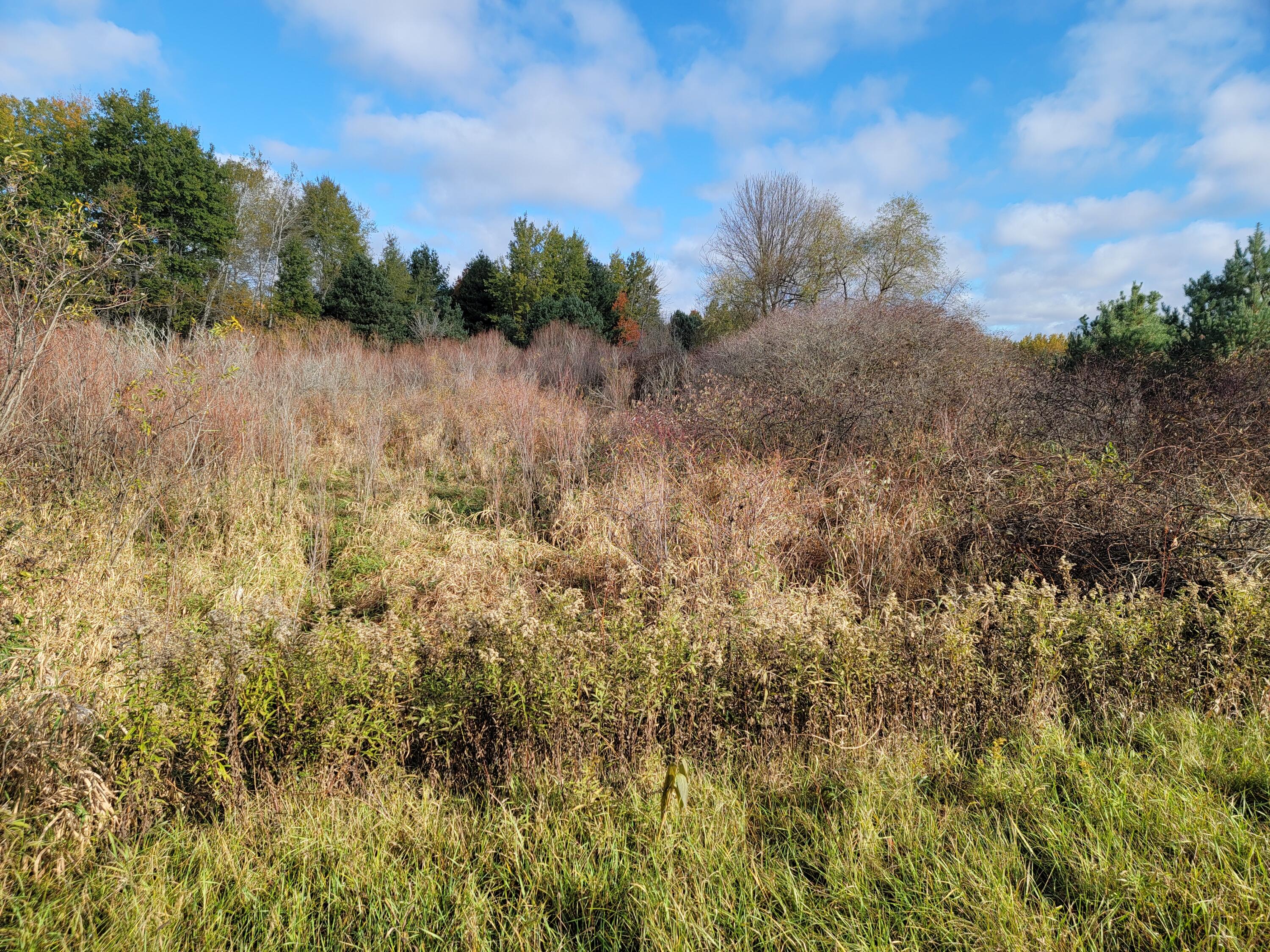 11011 Cutler Road Lakeview, MI 48850 - Photo 8 of 10 20211026_104339